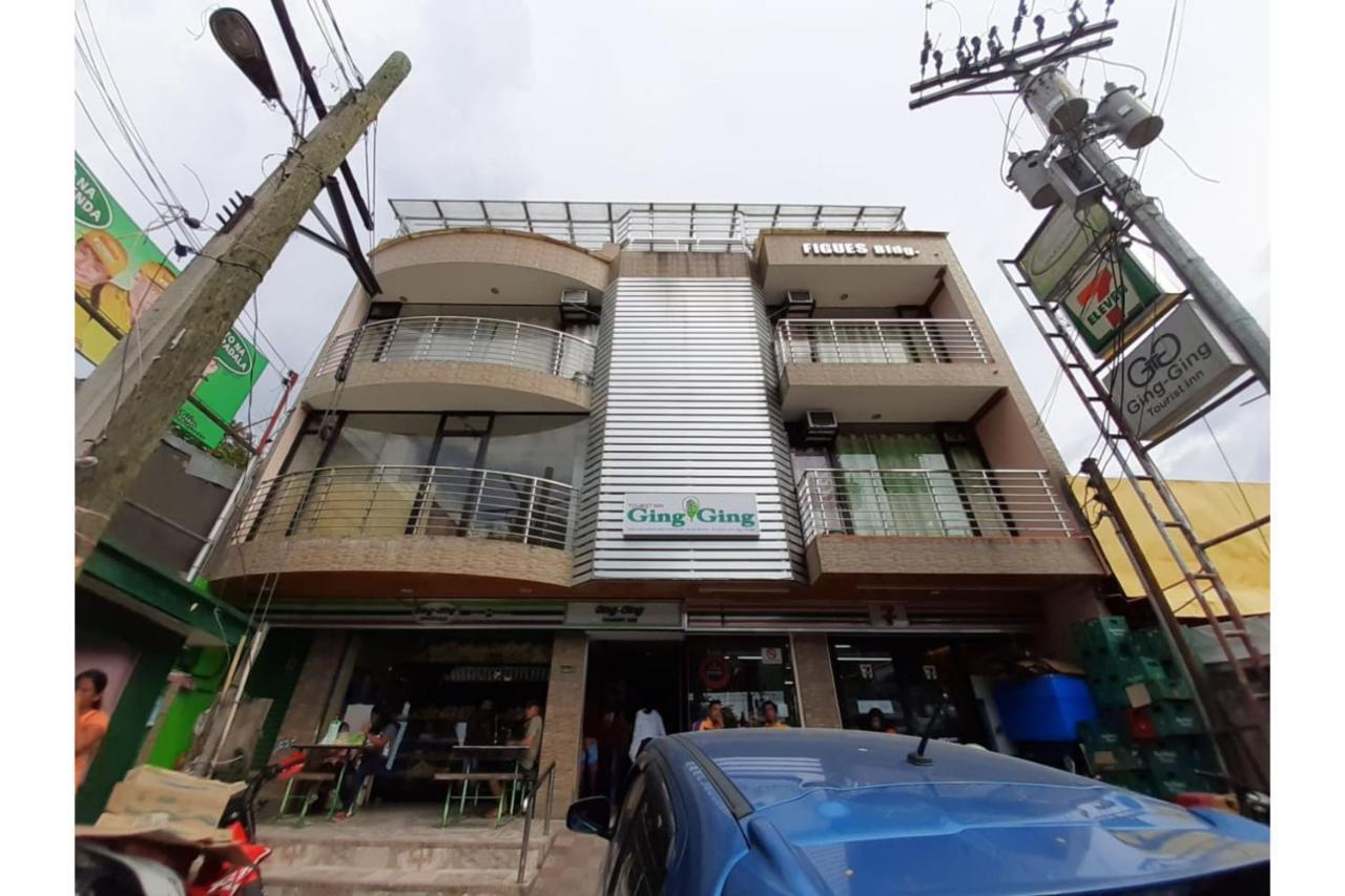 Ging-Ging Tourist Inn Badian Luaran gambar